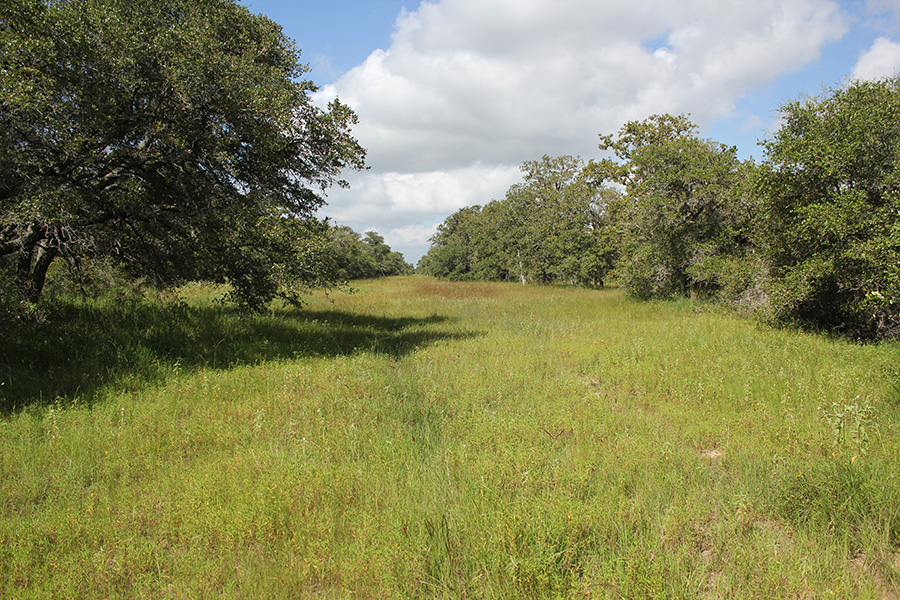 252 Acres For Sale Lavaca County
