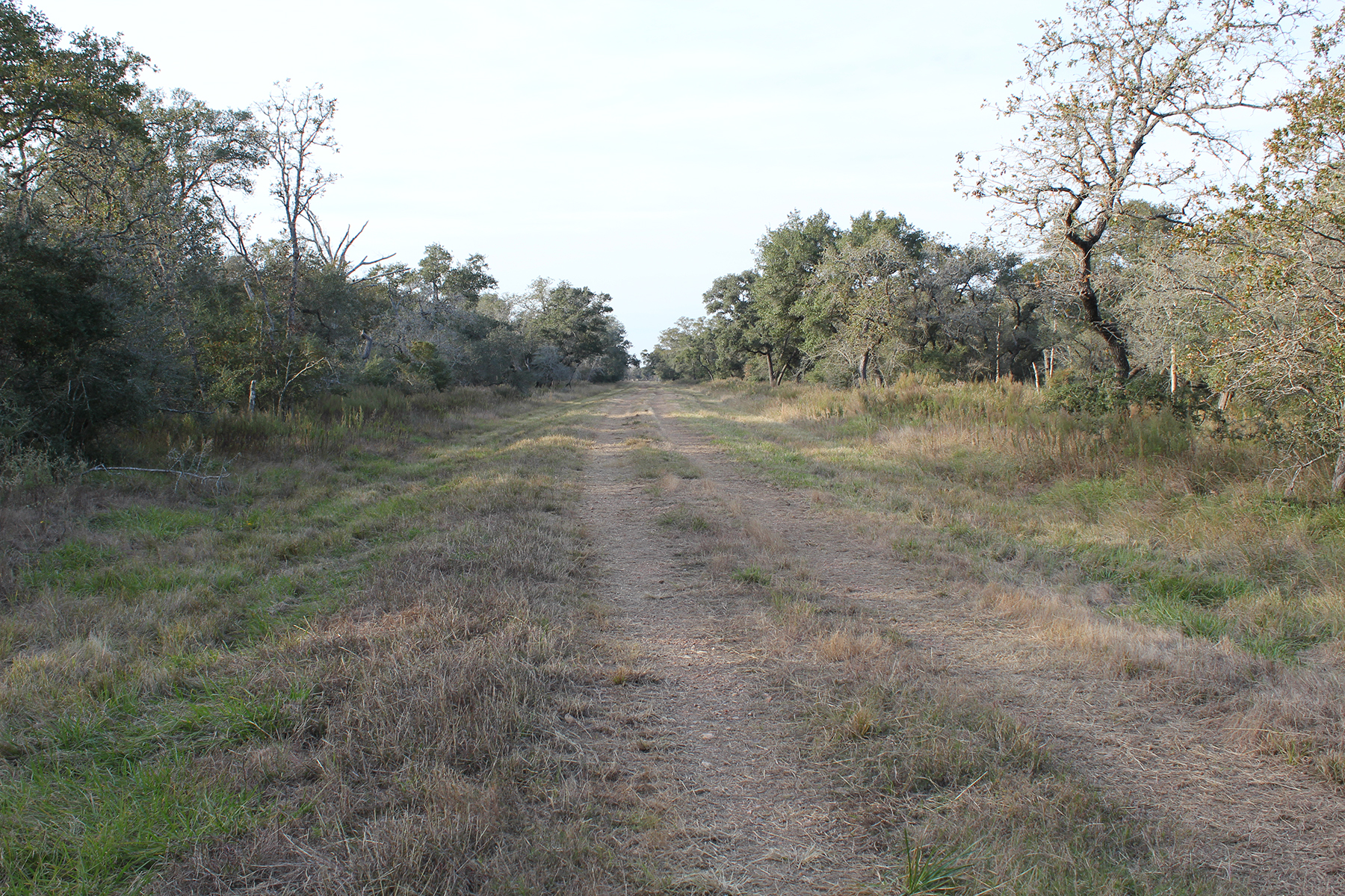 787 Acre Morales Ranch For Sale – Lavaca & Jackson County-Sold