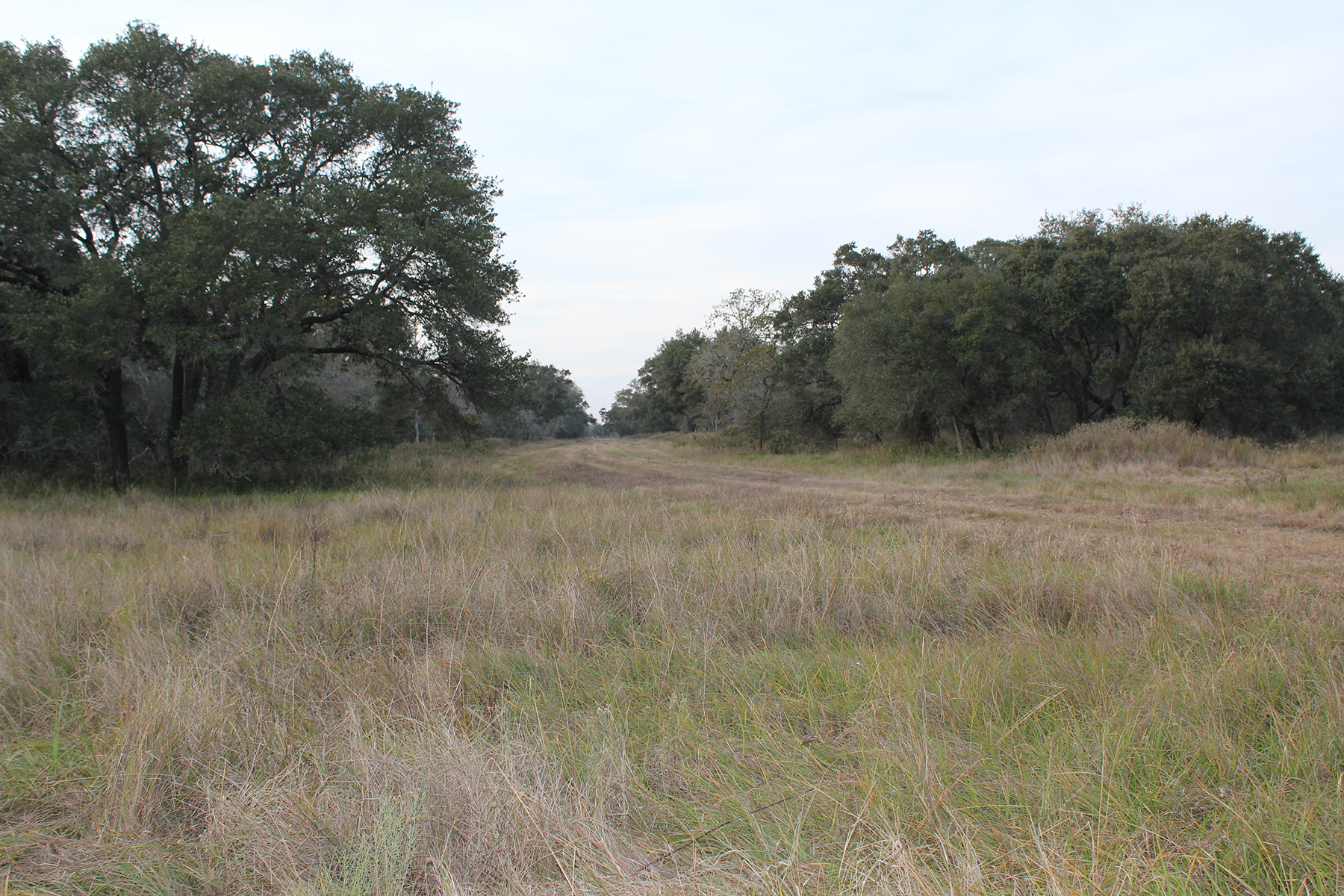 257 Acre Morales Ranch For Sale – Jackson & Lavaca County