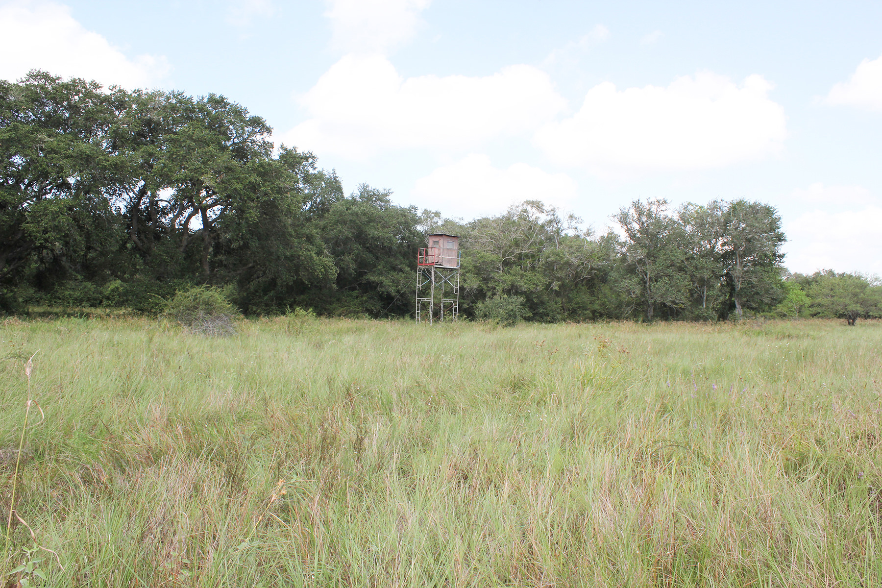 145 Acres For Sale – South Tract – Beck Rd Ranch