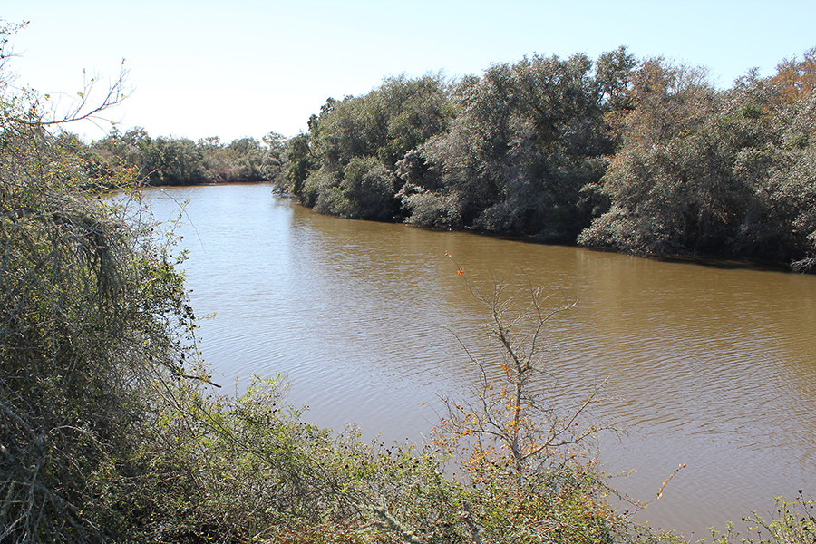 248 Acres For Sale - Carancahua Creek Ranch