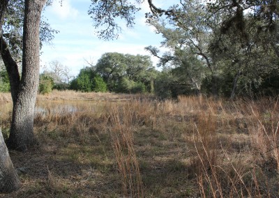 30 Acres For Sale – Lavaca County – SOLD
