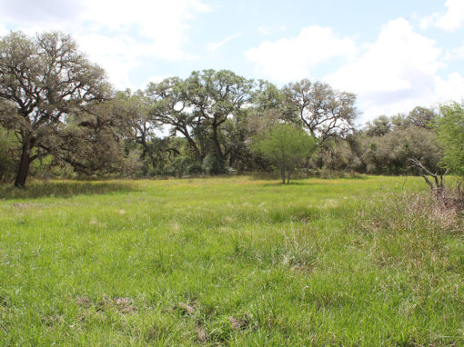 422 Acres For Sale – Koontz Ranch – SOLD!