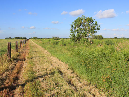 41 Acres For Sale – Victoria, Texas- Sold