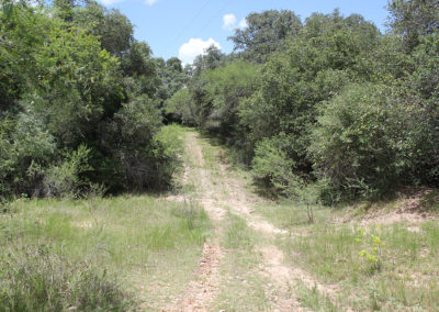 309 Acre Sparks Ranch For Sale – SOLD!