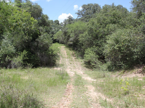 309 Acre Sparks Ranch For Sale – SOLD!
