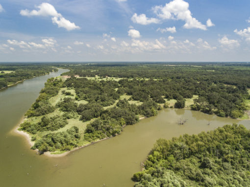 145 Acre Coleto Lake Ranch For Sale-Sold