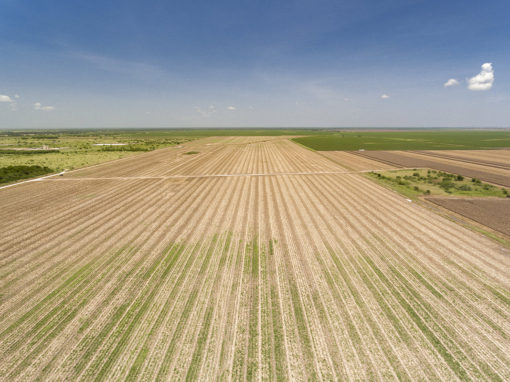 405 Acre Farmland For Sale – Sold!