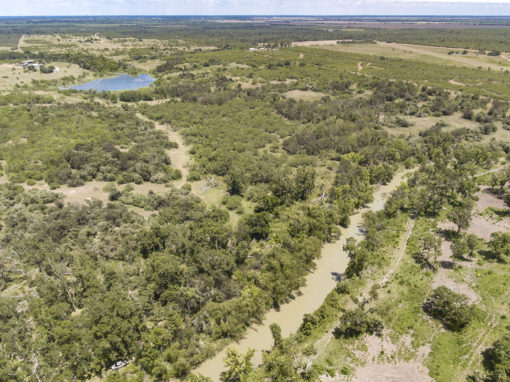 429.55+/- Acre San Antonio River Ranch For Sale – SOLD