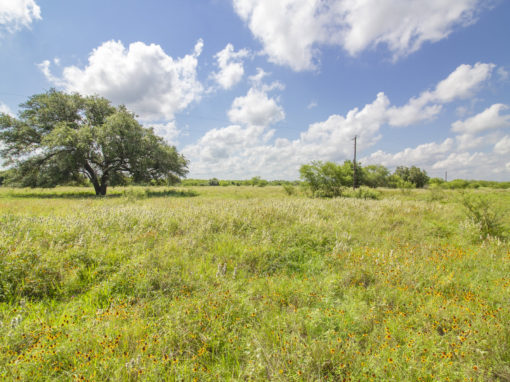 75+/- Acre San Antonio River Rd Ranch-SOLD