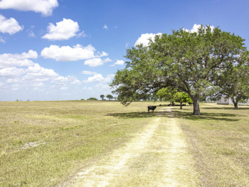 54+/- Acre Valle Fresco Ranch For Sale