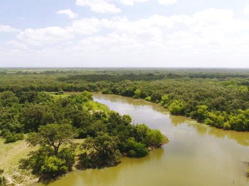 124+/- Acre Coleto Lake Property – SOLD!