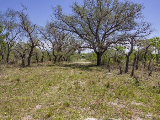 157+/- Acre Refugio Ranch-SOLD