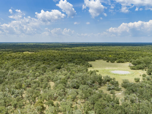 404+/- Acre Wooded Oak Ranch-Sold