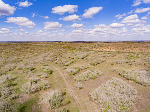 701+/- Acre Texana Ranch – SOLD!