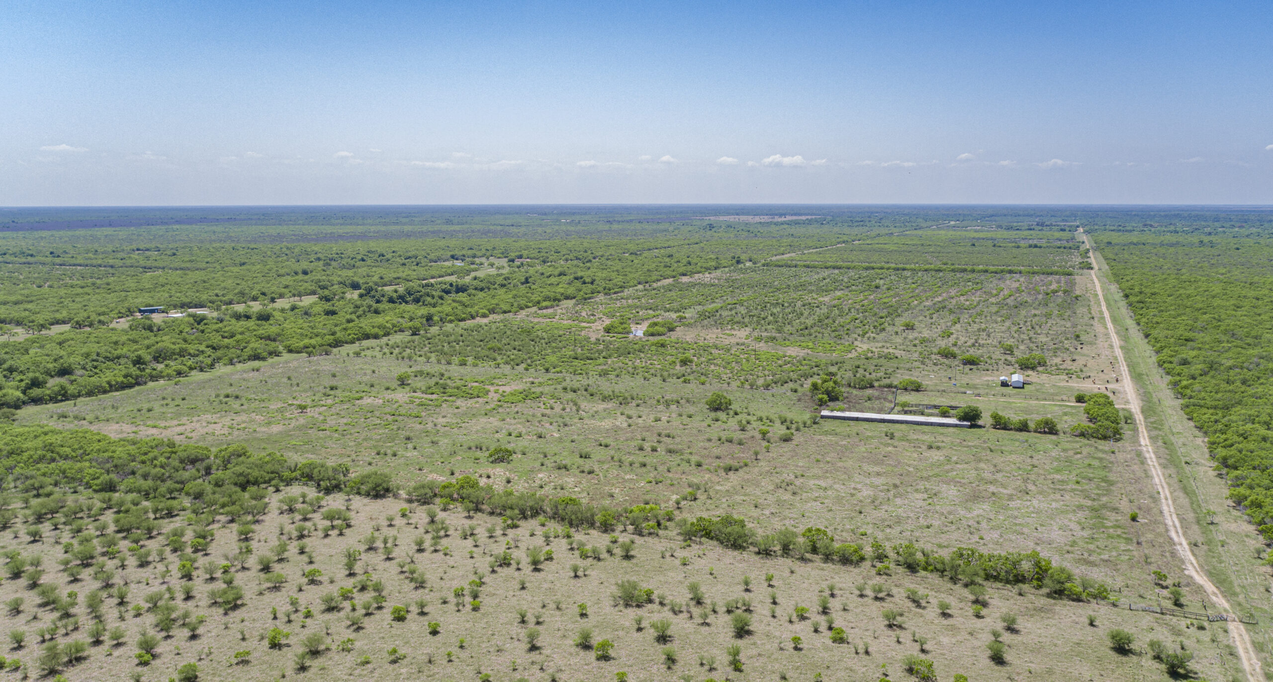 293+/- Acre Arnecke Ranch