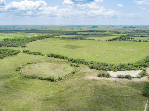 115+/- Acre New Taiton Property – Sold!