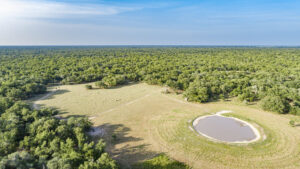 200+/- Acre Morales Ranch