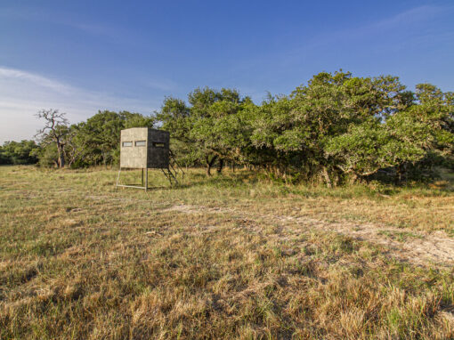 200+/- Acre Morales Ranch – Sold!