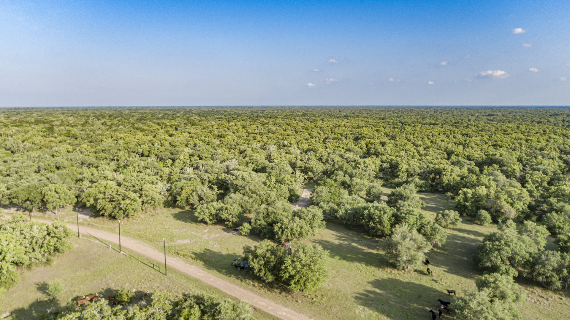 100+/- Acre Morales Ranch