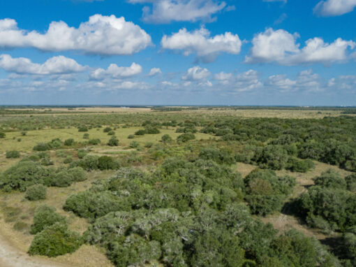 187+/- Acre Edna Ranch – Under Contract