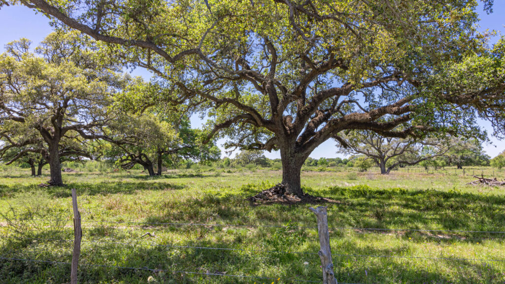 21+/ Acre Inez Property > M4 Ranch Real Estate