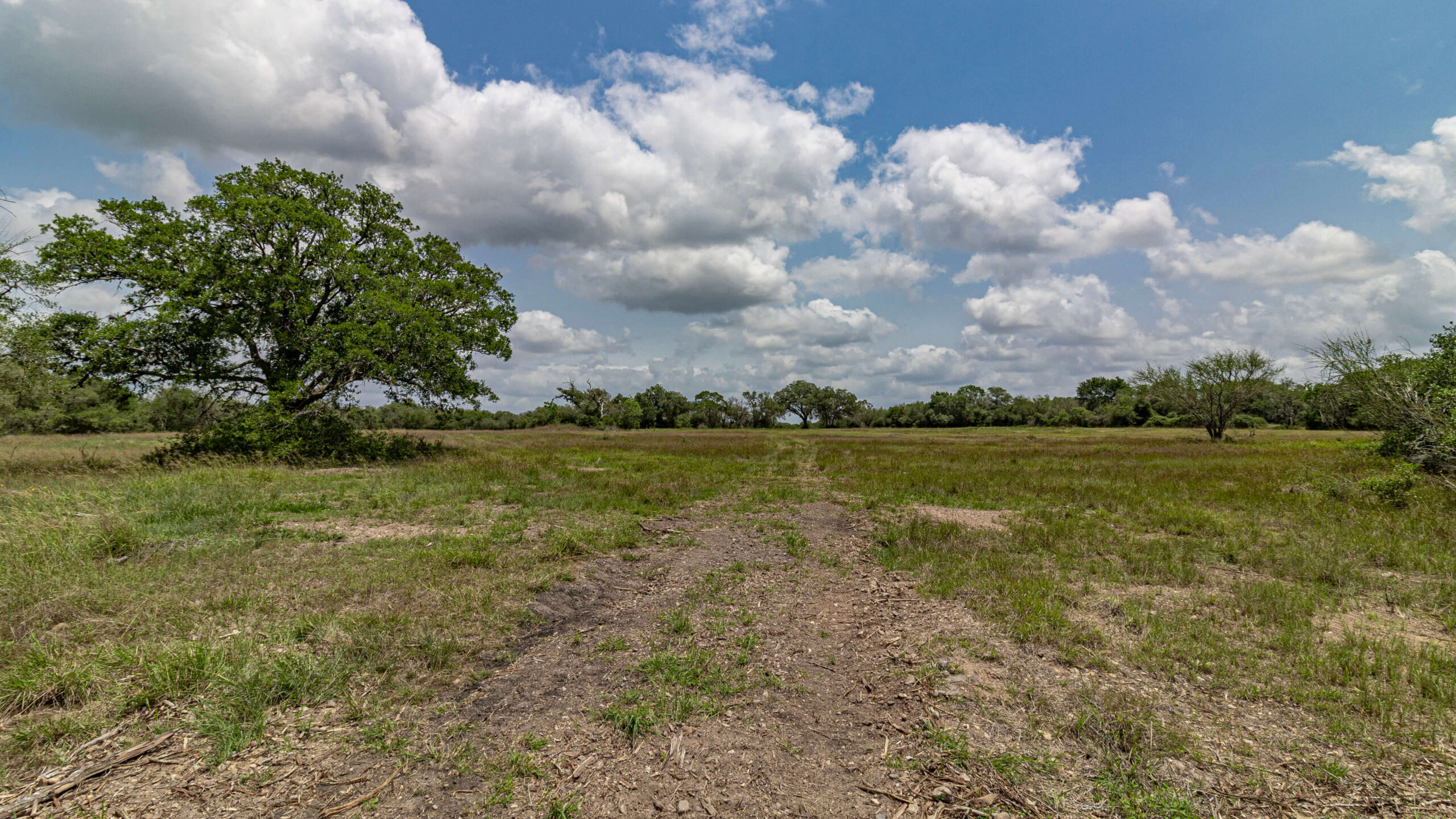 177+/- Acre Rustic Oak Ranch For Sale