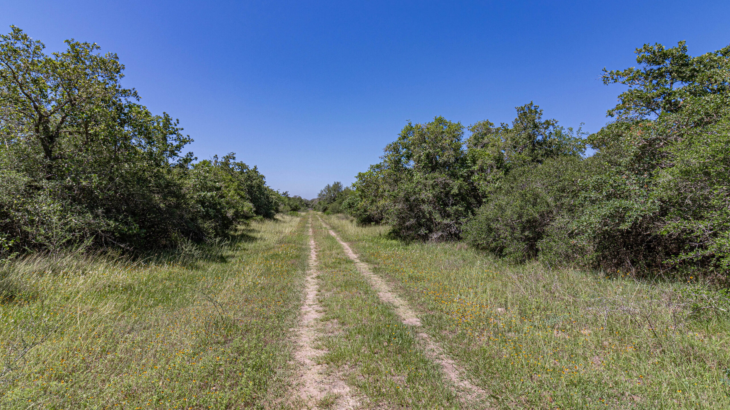 136+/- Acre Oakhill Ranch For Sale