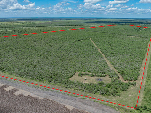 277+/- Acre Moore Refugio Ranch