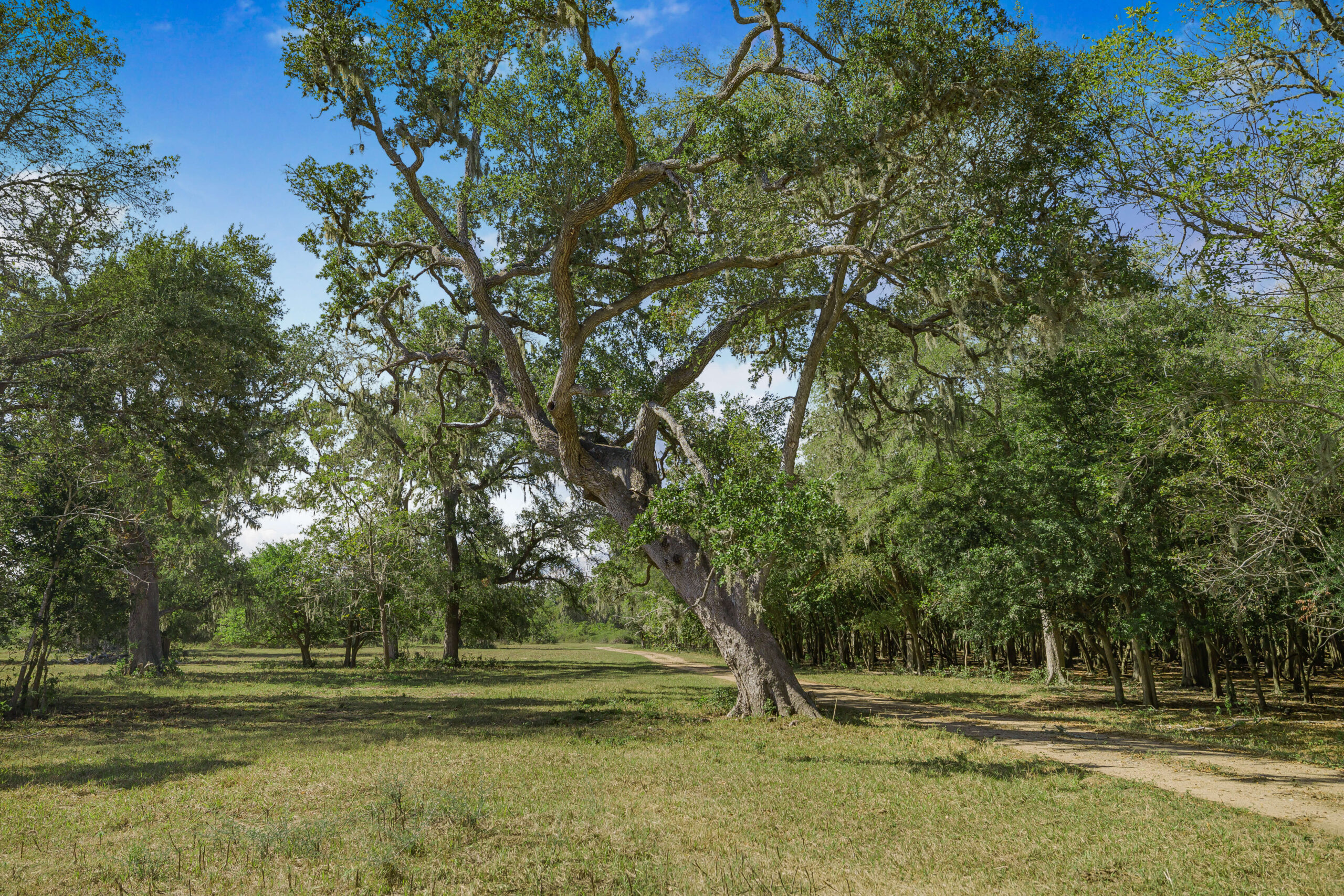 467+/- Acre Hollingsworth Ranch For Sale